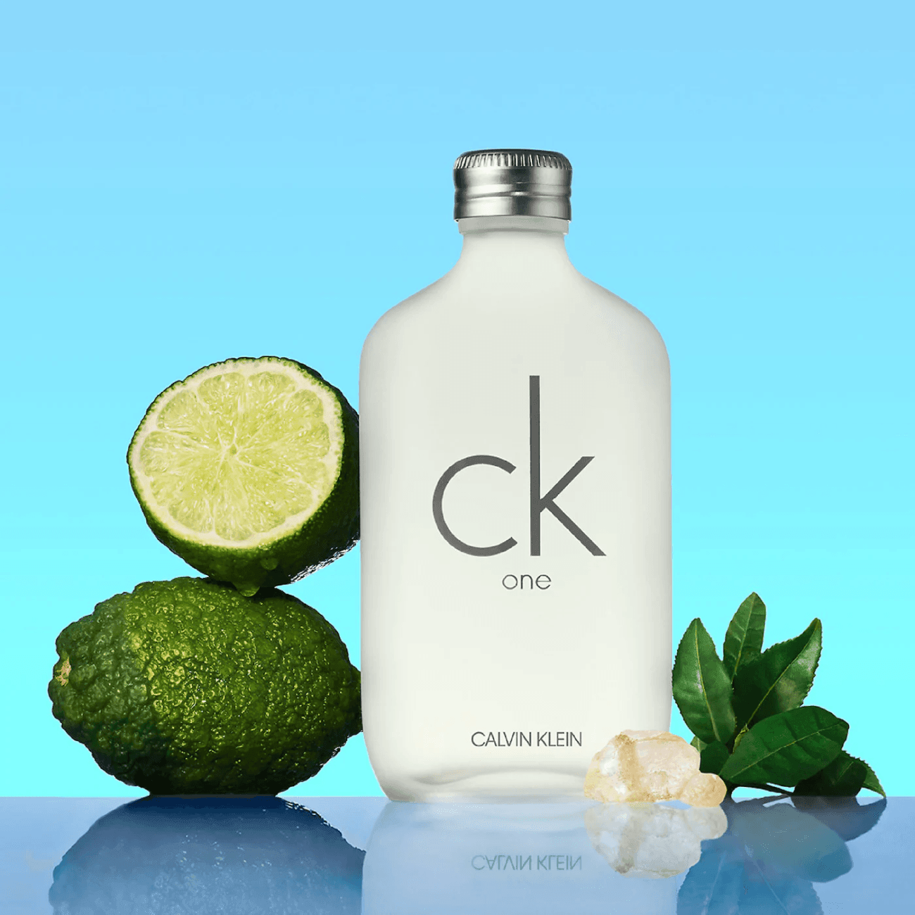 ck one Eau de Toilette - detoks.ca