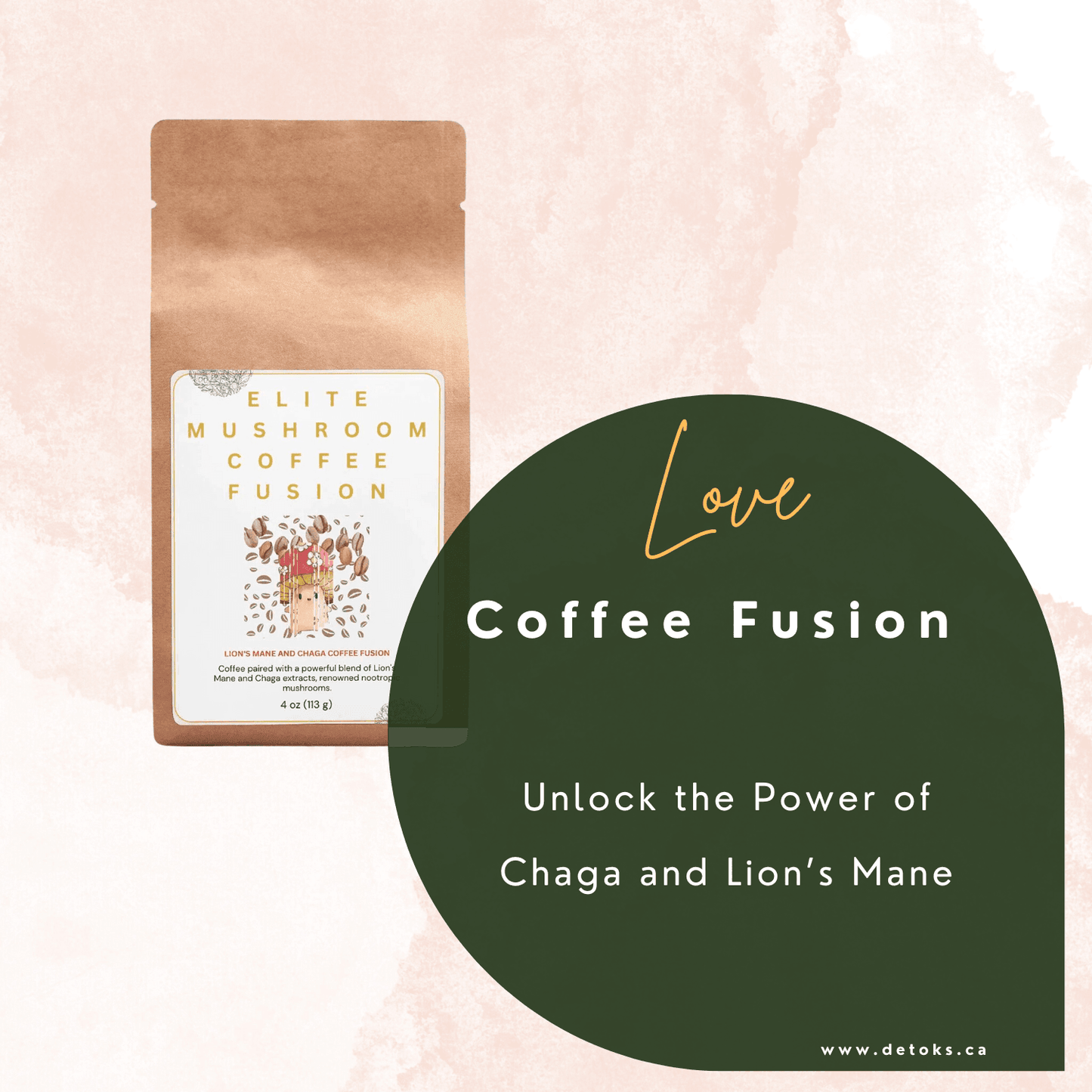 Elite Mushroom Coffee Fusion - Lion’s Mane & Chaga 113 g - detoks.ca